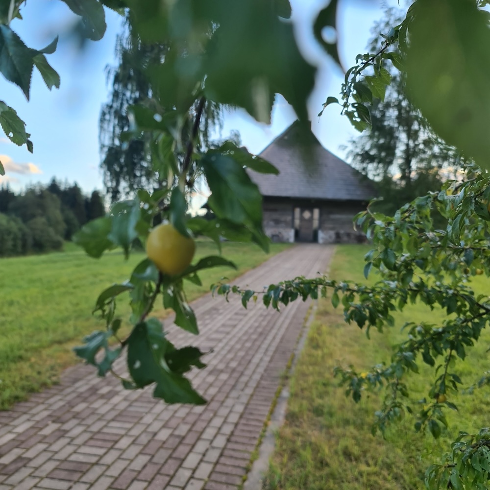 kalna-maja-23.jpg