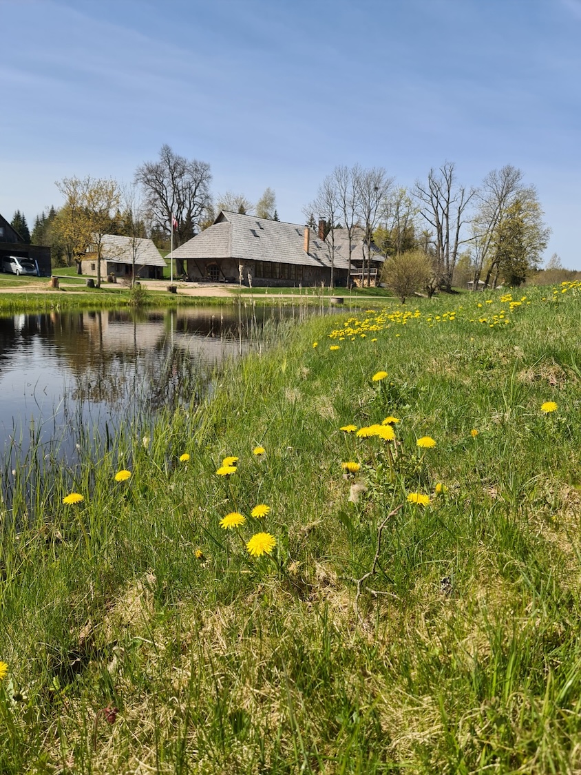 teritorija-24.jpg