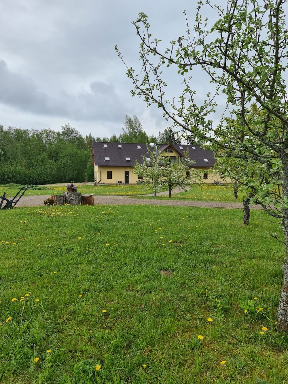 viesu-maja-3.jpg